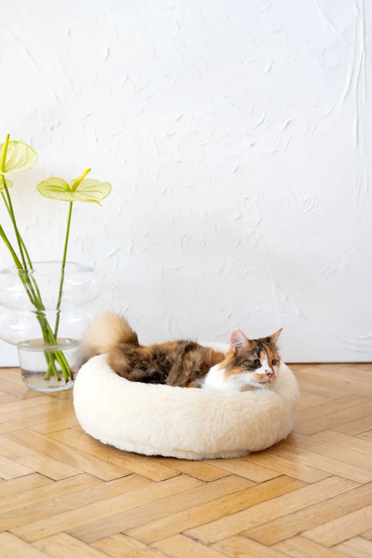 Round Natural Wool Pet Bed